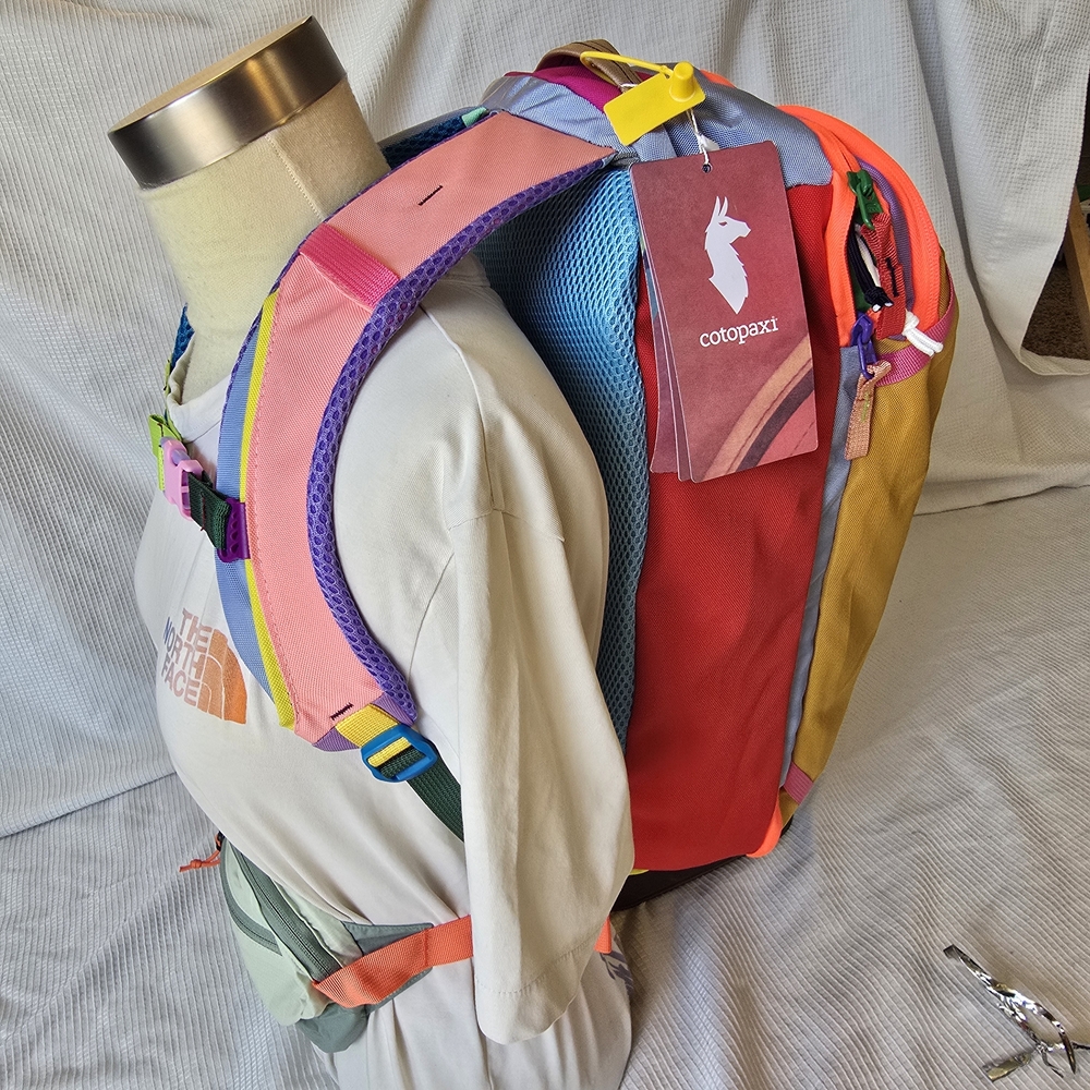 Cotopaxi Allpa 20 + Patagonia Terravia Mini Hip Pack Travel Bundle Set - Picture 4 of 8
